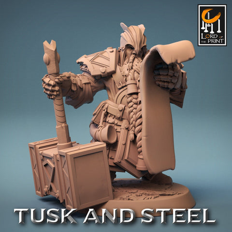 Dwarf Fighter Paladin with Battle Hammer Unpainted | 28mm, 32mm,54mm,75mm,100mm Scales | Dungeons and Dragons Pathfinder Lord of The Print