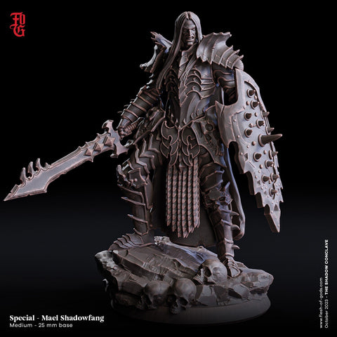 Oathbreaker Paladin Fighter PC / NPC | 28mm, 32mm,54mm,75mm,100mm Scales | Player Character Mini -D&D 5e Pathfinder Figurine |Flesh of Gods