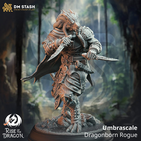 Dragonborn Rogue Thief Assassin, PC / NPC unpainted Miniature | 28mm, 32mm, 54mm, 75mm, 100mm Scales | Pathfinder Figure DnD | DM Stash |