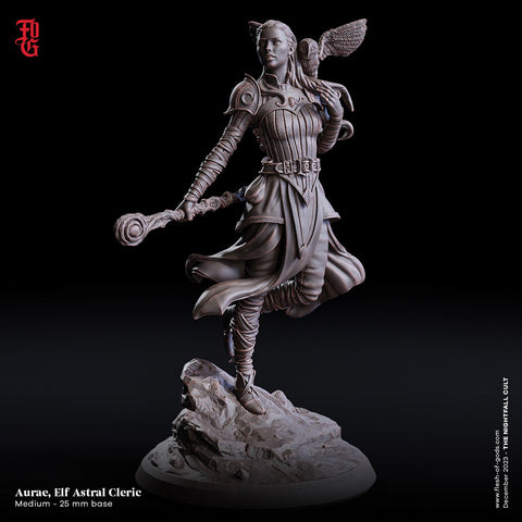 Female Elf Druid Wizard, Cleric PC NPC | 28mm, 32mm,54mm, 75mm, 100mm Scale Resin Mini | Dungeons and Dragons| Flesh of Gods