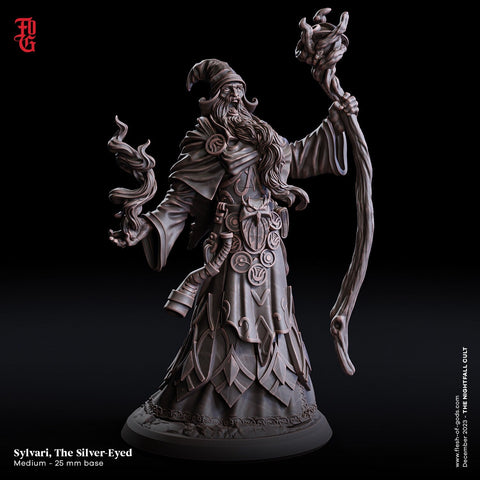 Wizard, Warlock, Sorcerer | 28mm, 32mm,54mm, 75mm Scale|100mmTall |Player Character Mini- Minis -D&D 5e Pathfinder Figurine | Flesh of Gods