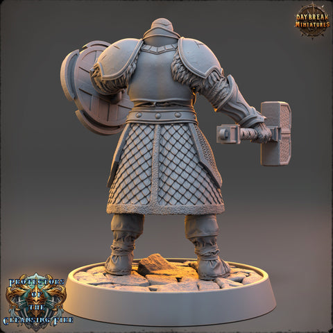 Life Domain Cleric, Paladin PC /NPC Unpainted | 28mm,32mm,54mm,75mm,100mm Scales | Dungeons and Dragons | Pathfinder | Daybreak Miniatures