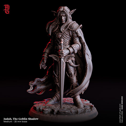 Goblin Rogue, Assassin, Gloom Stalker Ranger Hexblade | PC/ NPC | 28mm,32mm,54mm,75mm,100mm Scale | D&D 5e | Flesh of Gods