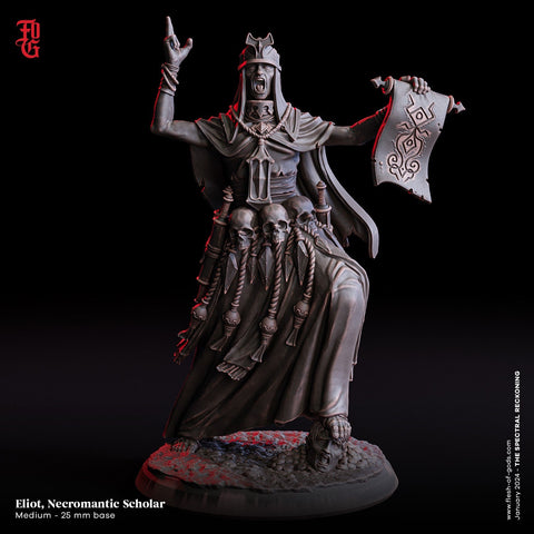 Cleric Wizard Necromancer, PC NPC | 28mm, 32mm,54mm, 75mm, 100mm Scale Resin Mini | Dungeons and Dragons | Flesh of Gods